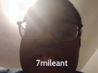 7mileant