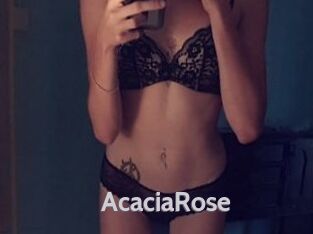 AcaciaRose