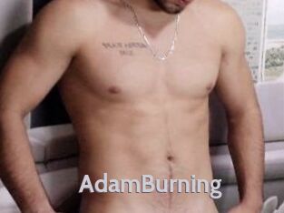 AdamBurning