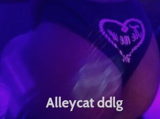 Alleycat_ddlg