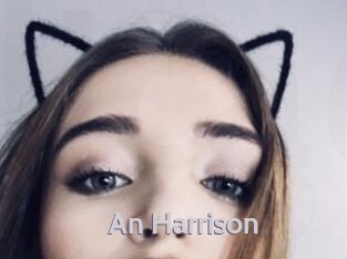 An_Harrison