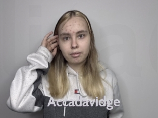 Accadavidge