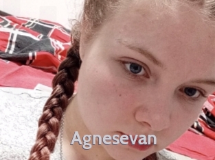 Agnesevan