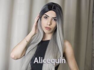 Alicequin