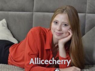 Allicecherry