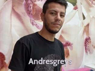 Andresgreys