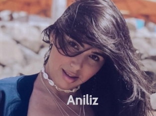 Aniliz