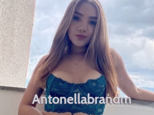 Antonellabrandm