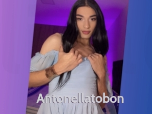 Antonellatobon