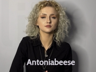 Antoniabeese