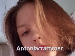 Antoniacrammer