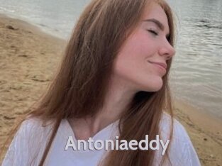 Antoniaeddy