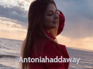 Antoniahaddaway