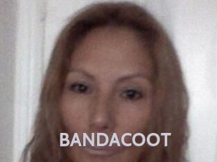 BANDACOOT