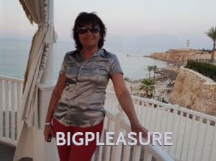 BIGPLEASURE