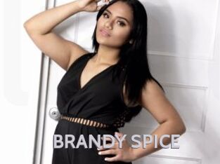 BRANDY_SPICE