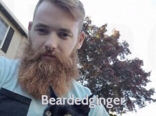 Beardedginger