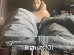 Bignuts101