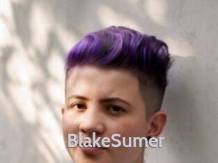 BlakeSumer