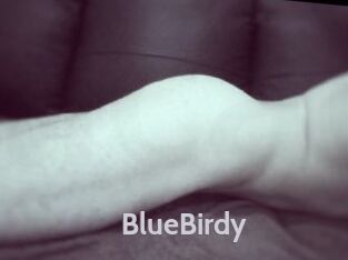 BlueBirdy