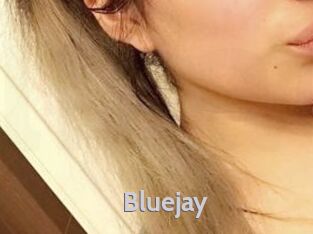 Blue_jay