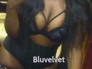 Bluvelvet