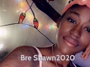 Bre_Shawn2020