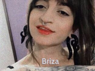 Briza