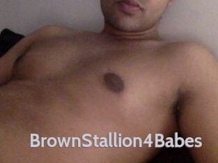 BrownStallion4Babes