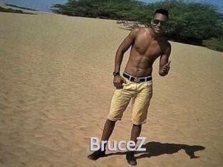 BruceZ