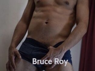 Bruce_Roy