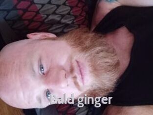 Bald_ginger