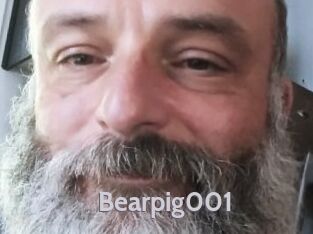 Bearpig001