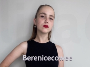 Berenicecowee