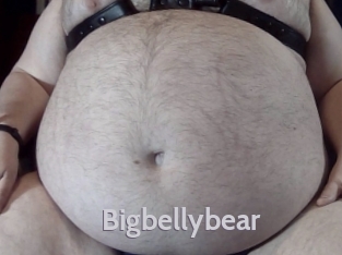 Bigbellybear