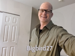 Bigbird27