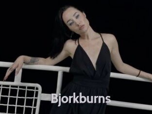 Bjorkburns