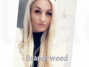 Brandyweed