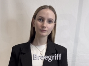 Breegriff