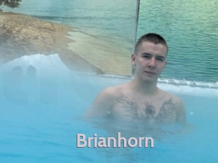 Brianhorn