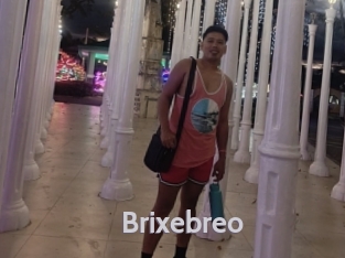 Brixebreo