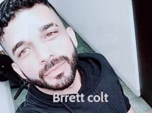 Brrett_colt