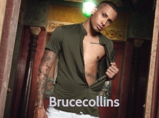 Brucecollins