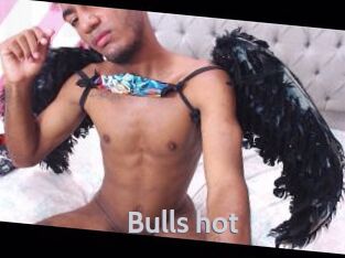 Bulls_hot