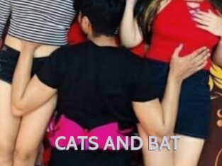 CATS_AND_BAT