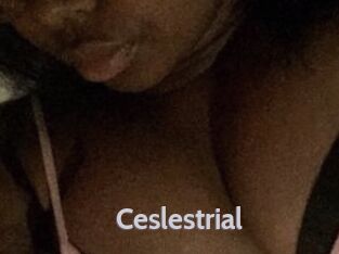 Ceslestrial