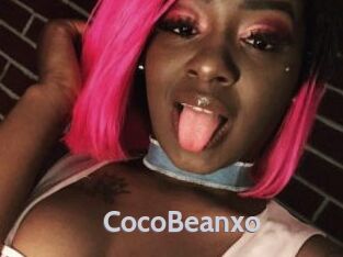 CocoBeanxo