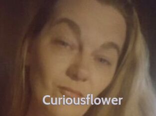 Curiousflower