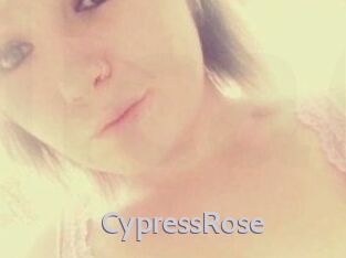 Cypress_Rose