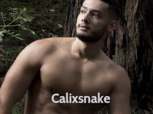 Calixsnake